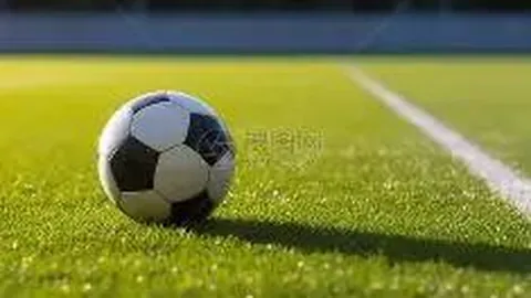 一号娱乐 产品 084804 ved