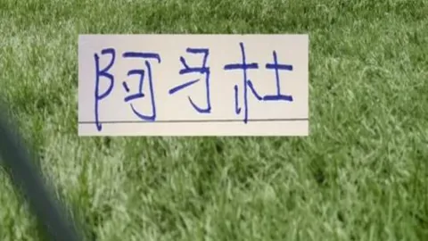 美职达拉斯VS圣地亚哥：期号专家质合推荐解读